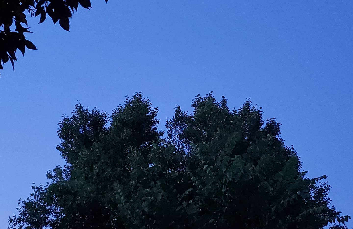July 13, 2020 | 20:51
