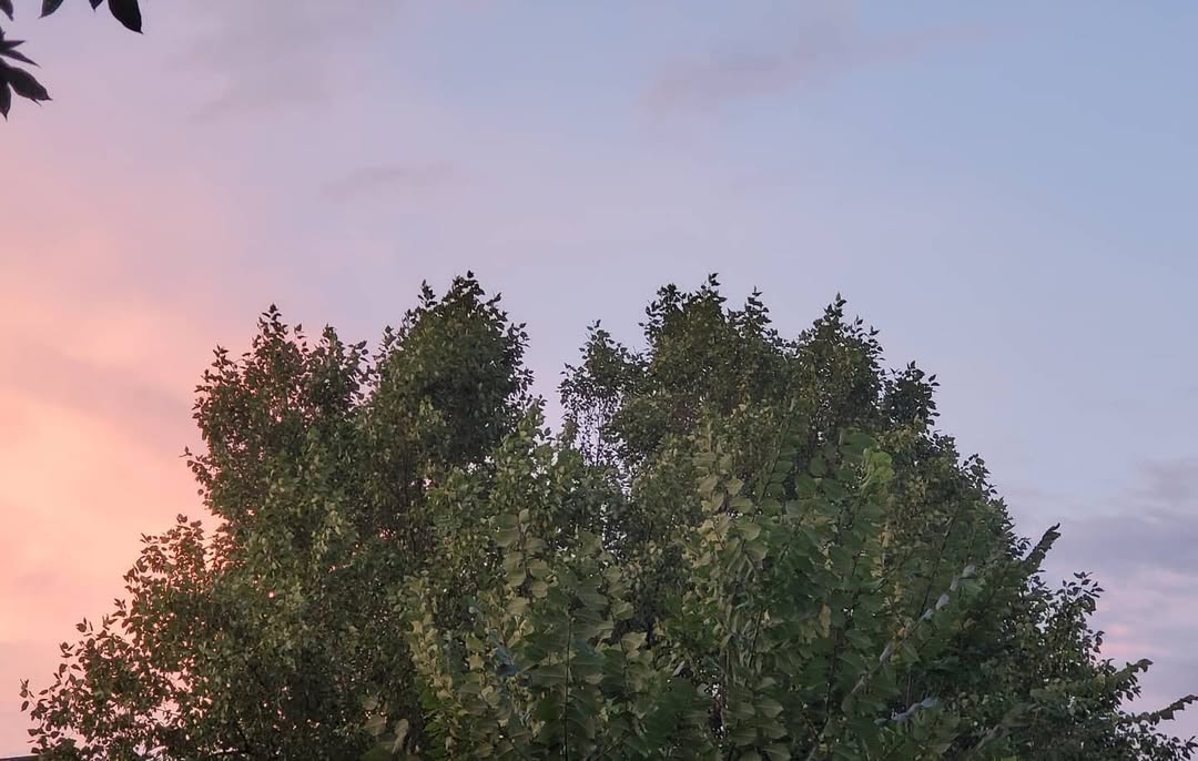 August 26, 2020 | 19:35