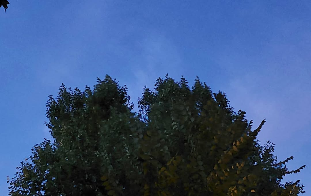 September 01, 2020 | 19:55