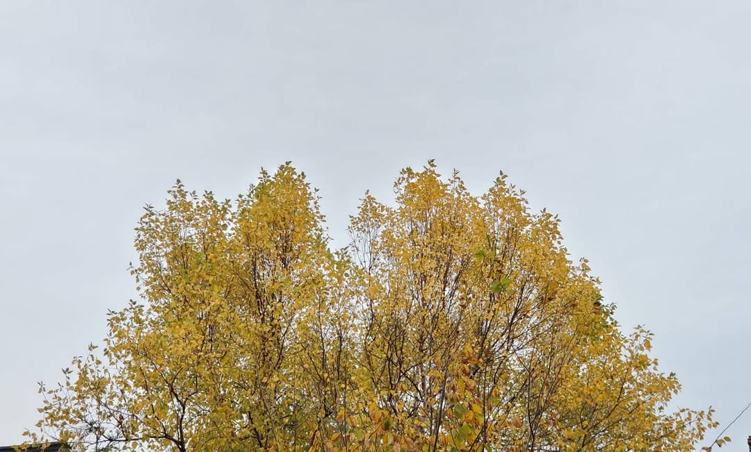 October 27, 2020 | 16:56