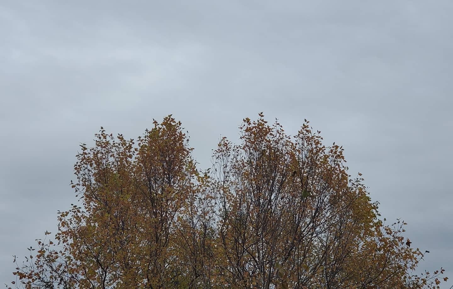 November 01, 2020 | 11:40