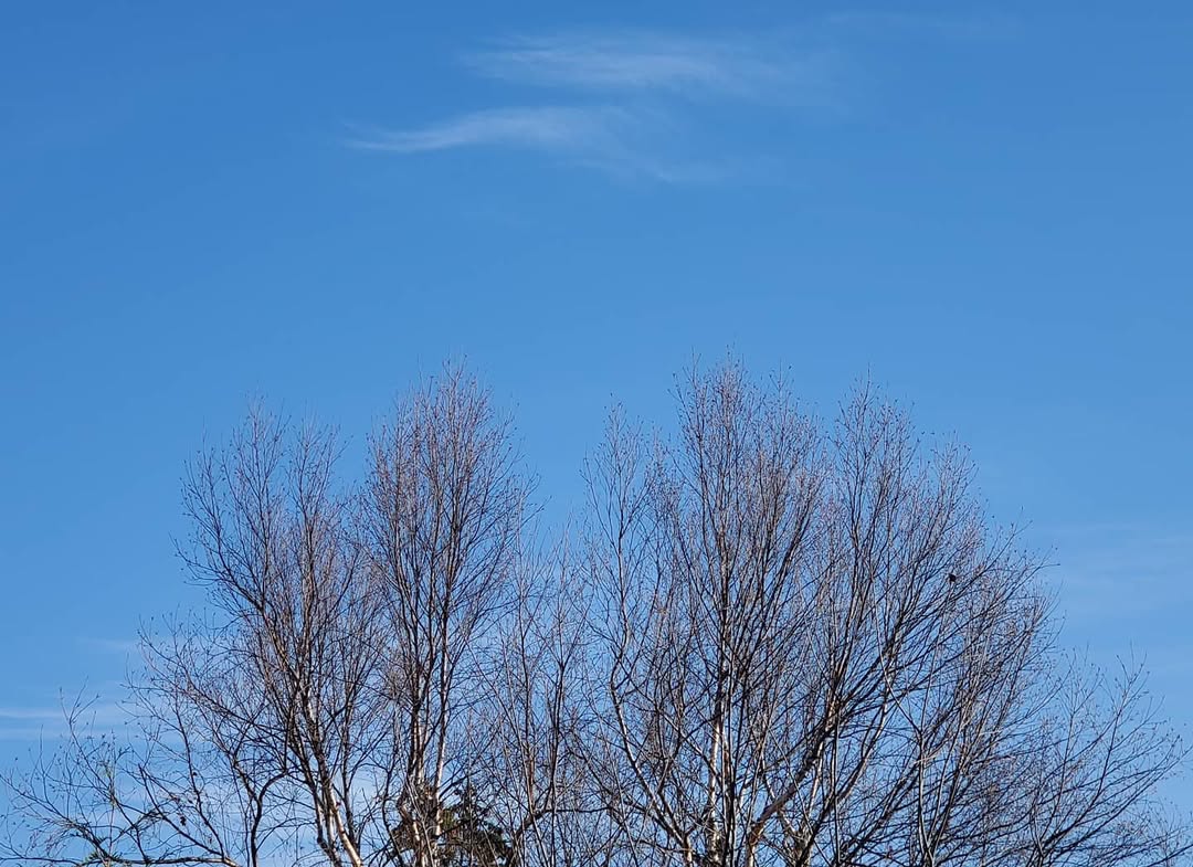 November 17, 2020 | 08:53