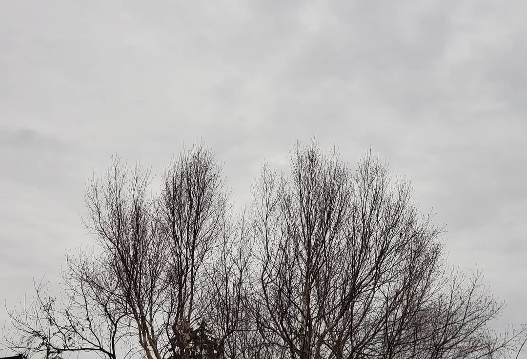 November 25, 2020 | 15:53