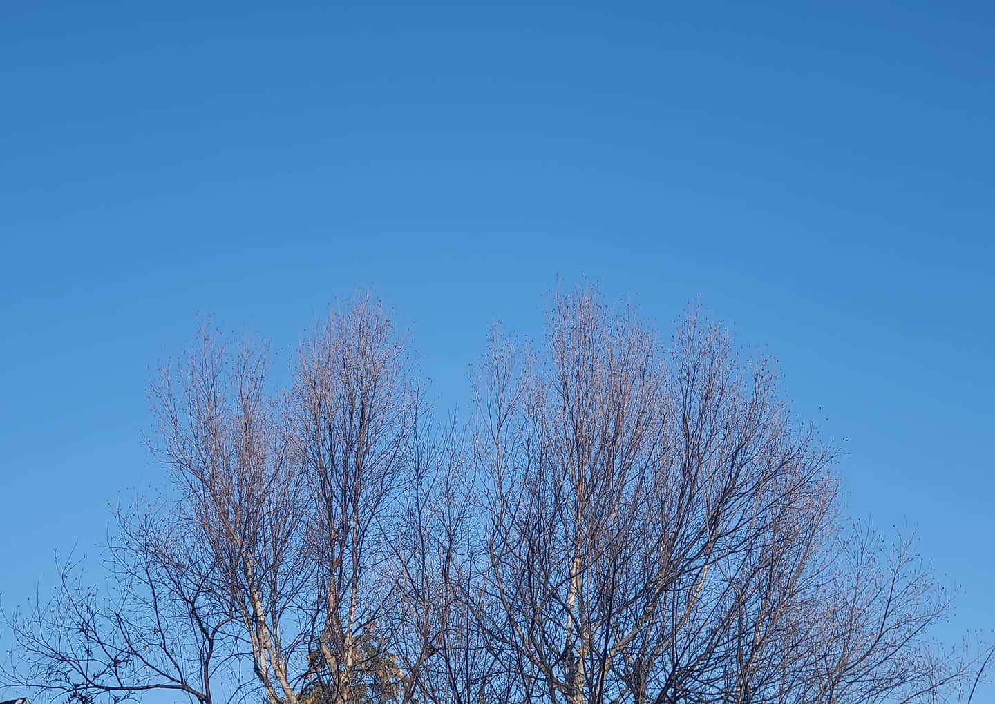 December 18, 2020 | 14:38