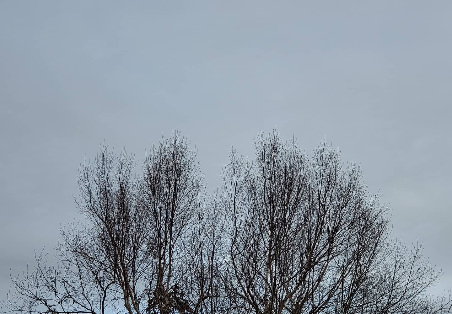 January 09, 2021 | 14:37