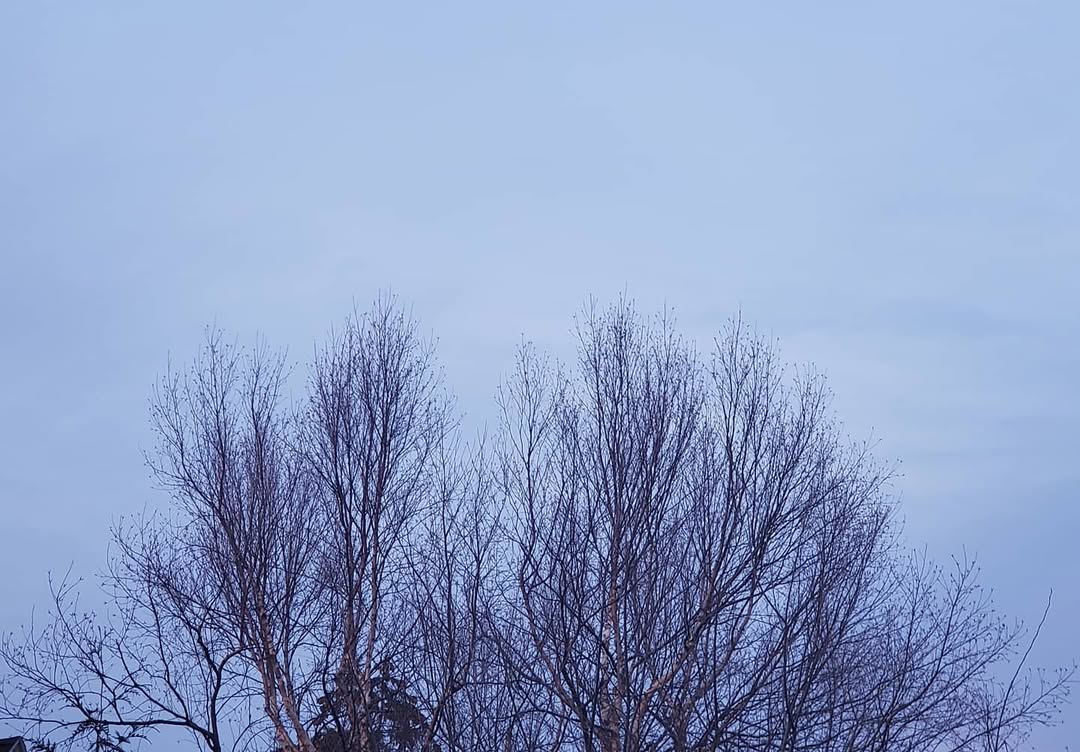 March 11, 2021 | 17:49
