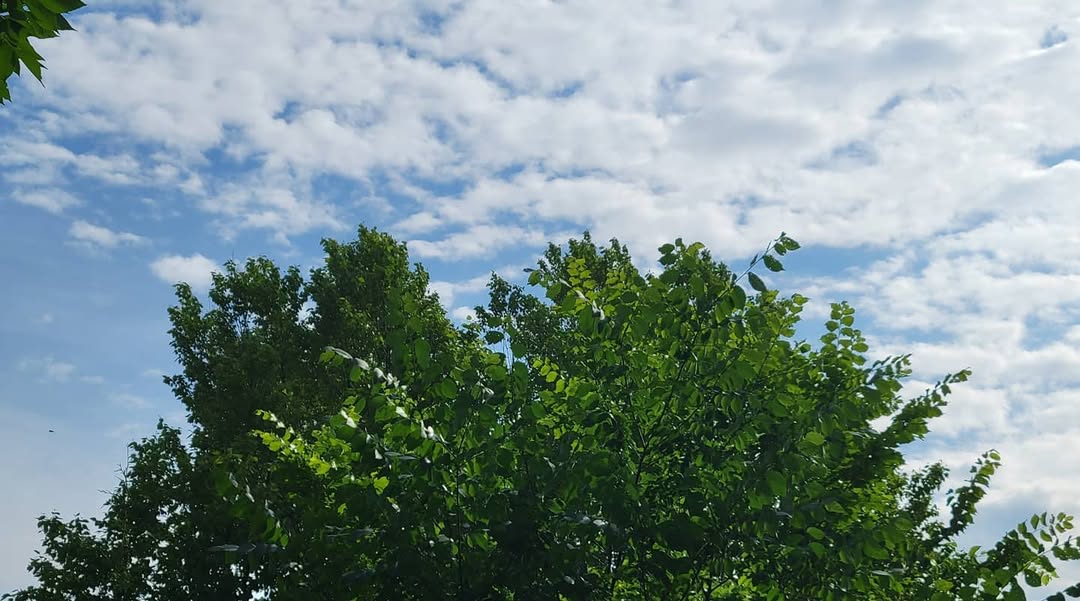 June 22, 2021 | 08:28