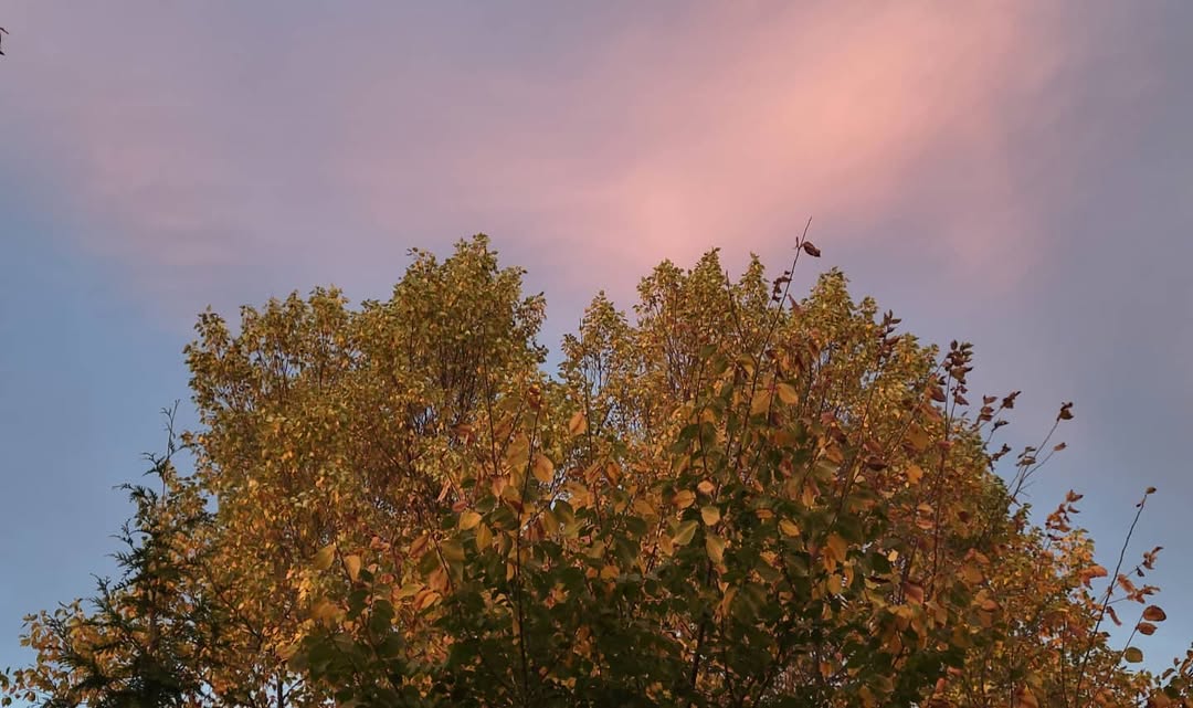 October 24, 2021 | 17:53