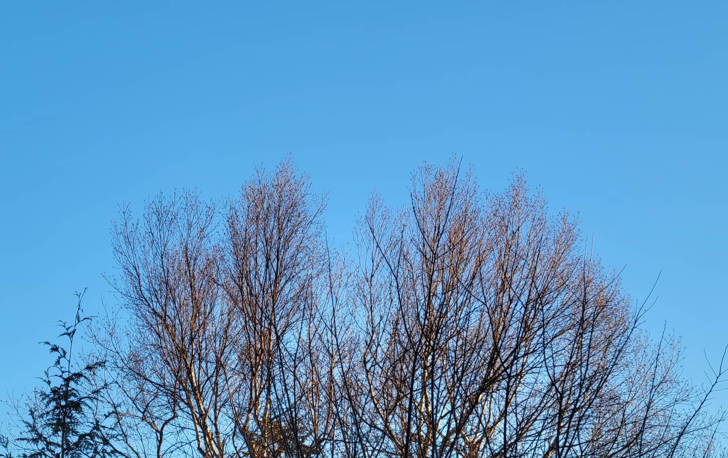 January 10, 2022 | 07:54