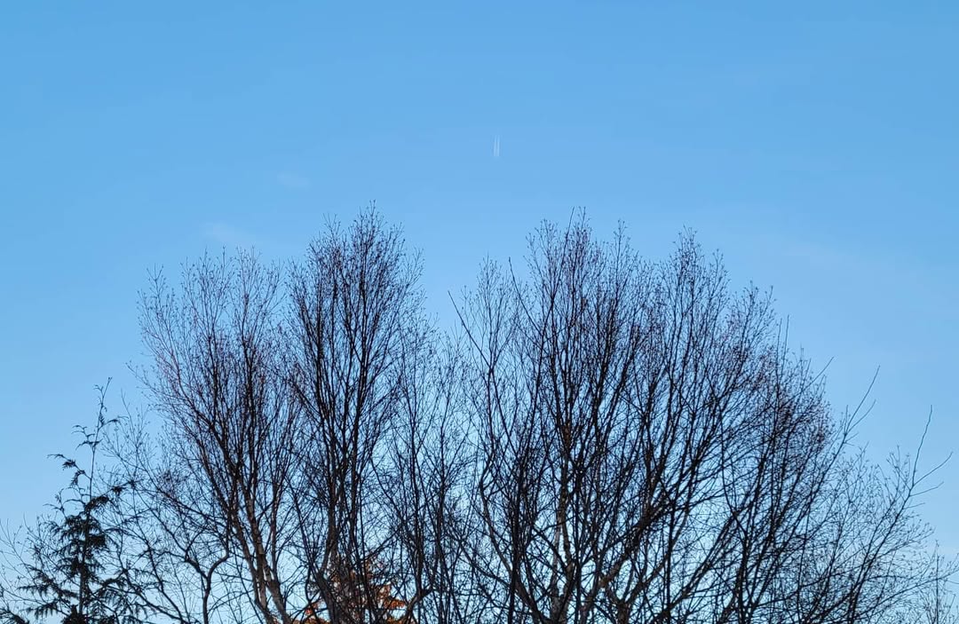 January 22, 2022 | 16:24