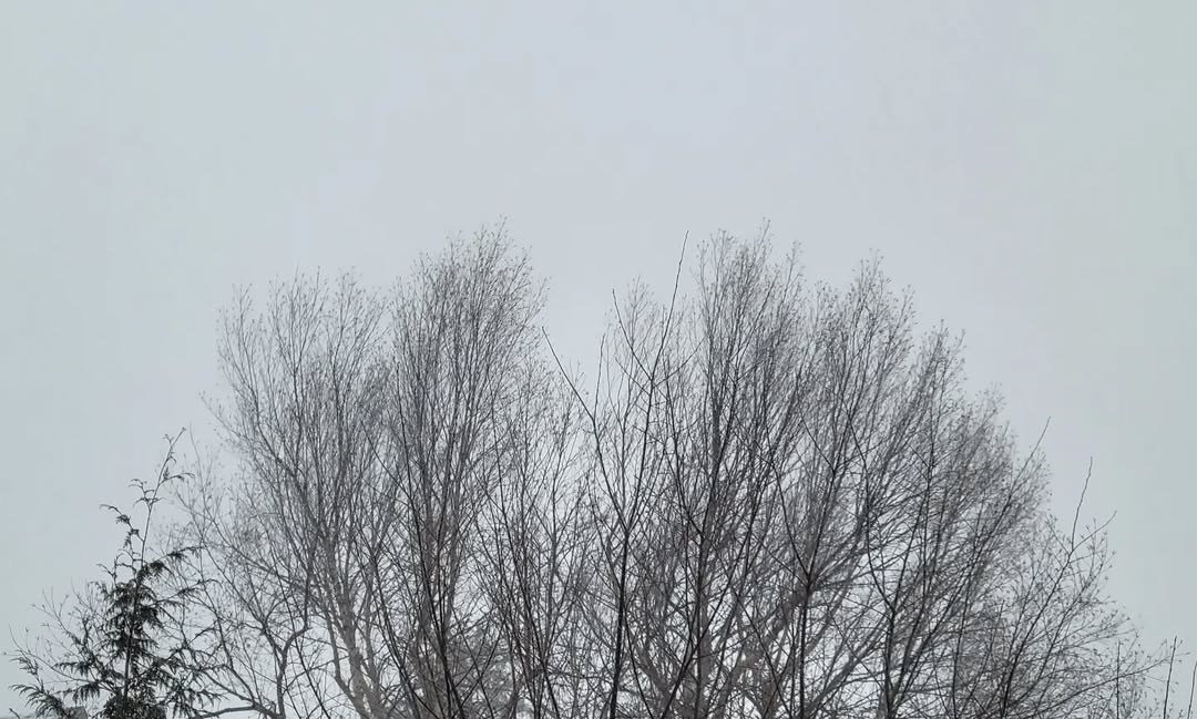 January 29, 2022 | 16:01