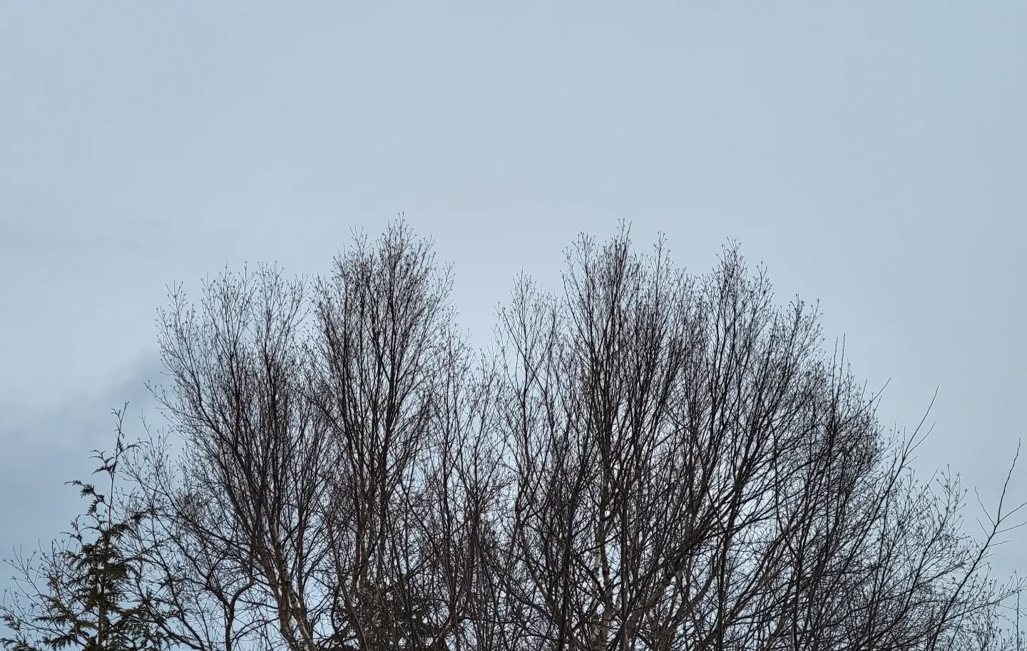 February 03, 2022 | 10:33