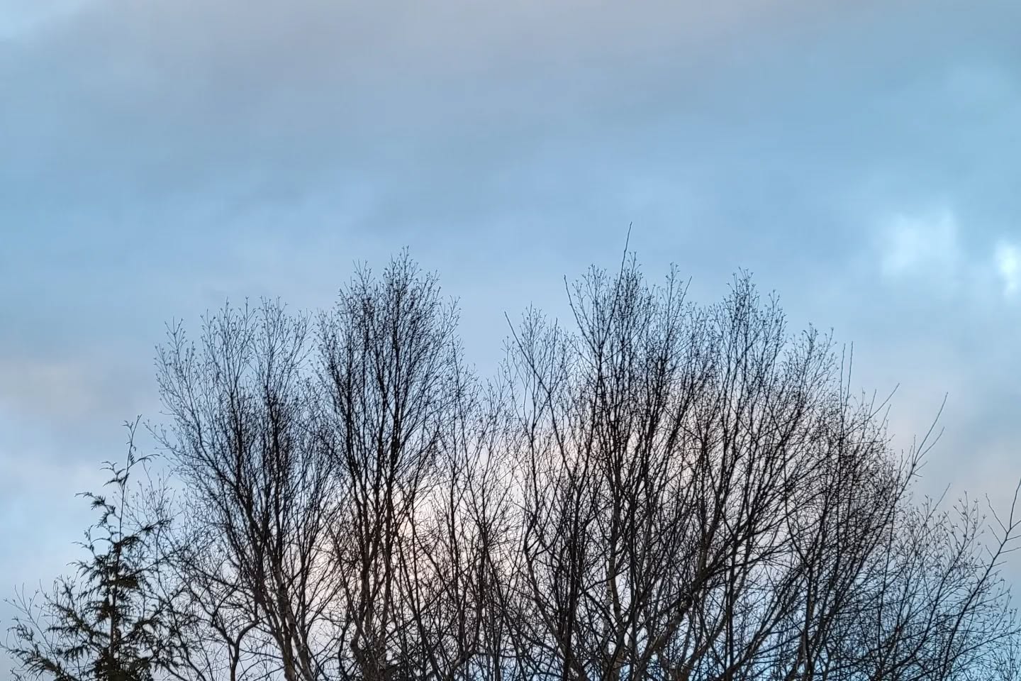 February 09, 2022 | 16:49