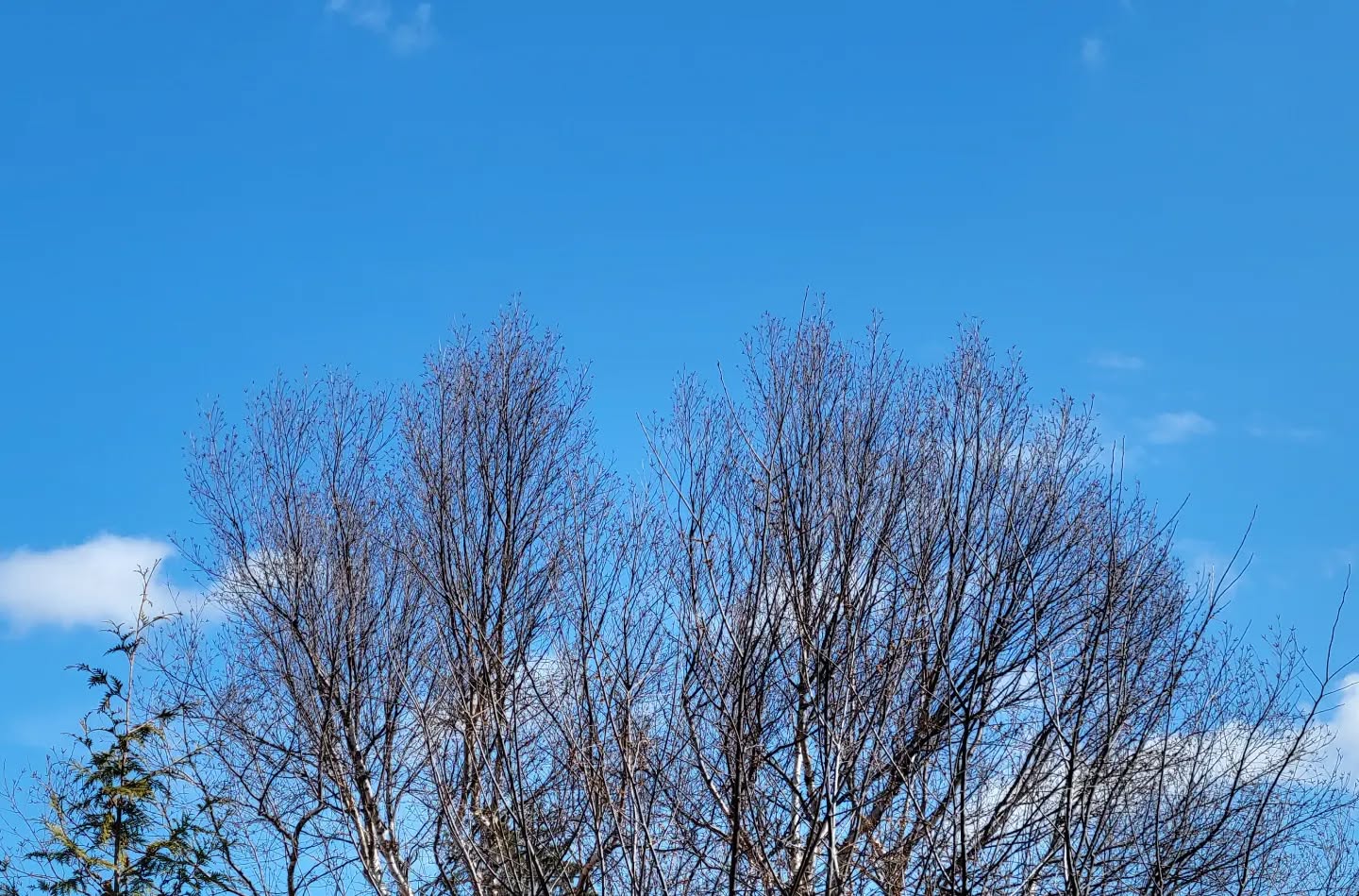 March 20, 2022 | 11:32