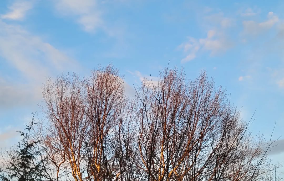 April 02, 2022 | 18:53