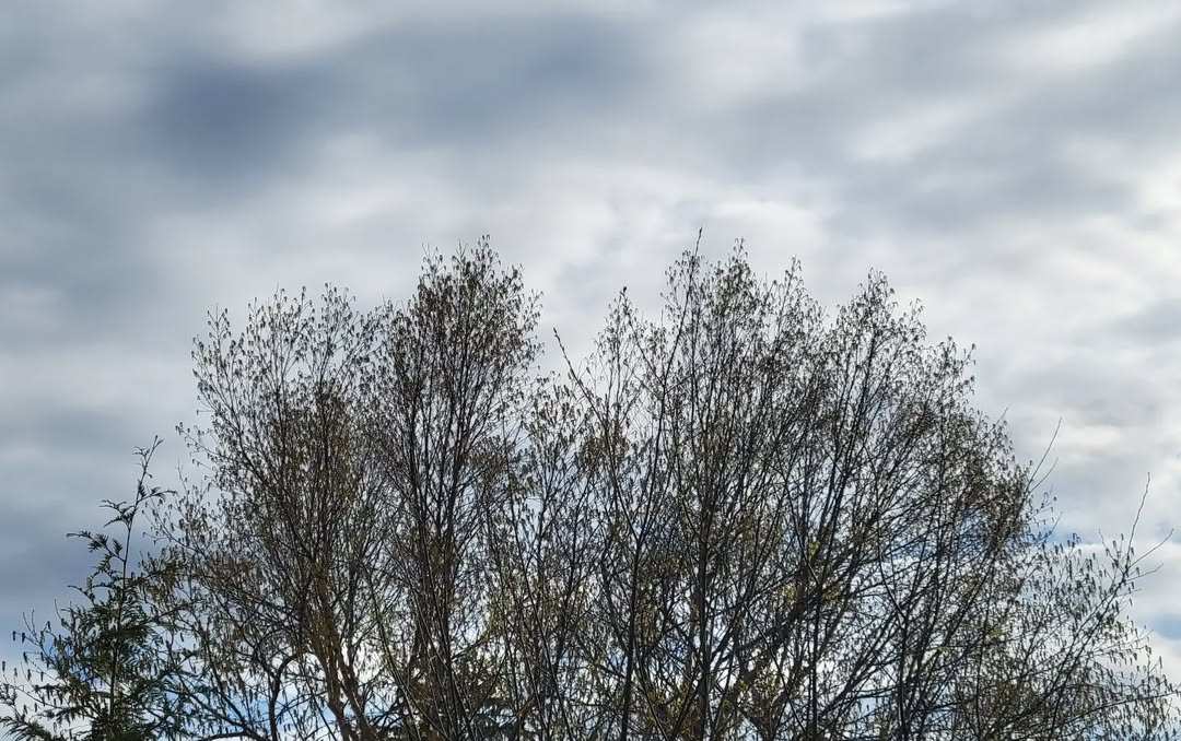 April 27, 2022 | 08:35