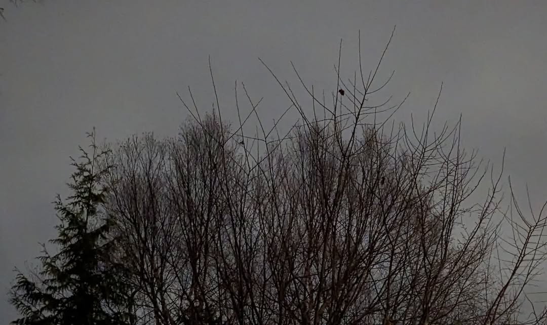 December 07, 2022 | 17:04
