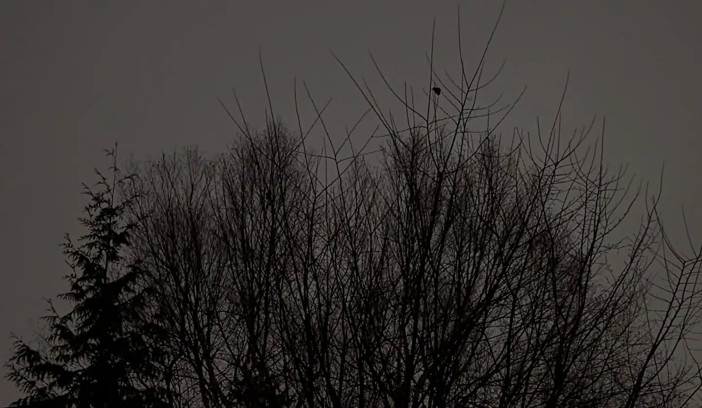 January 04, 2023 | 21:38