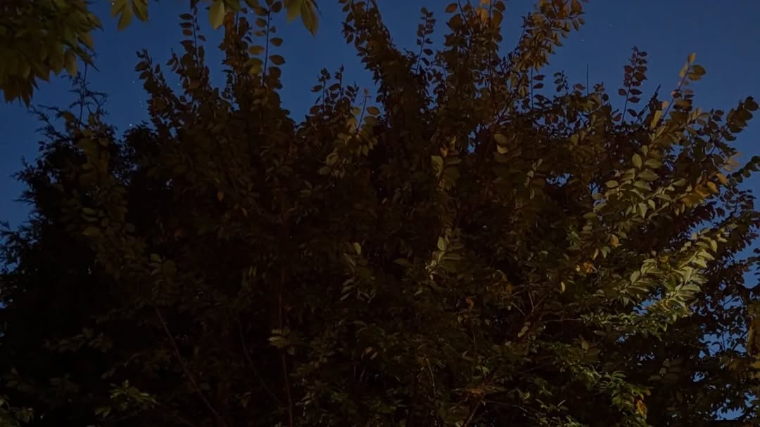 October 04, 2023 | 20:18