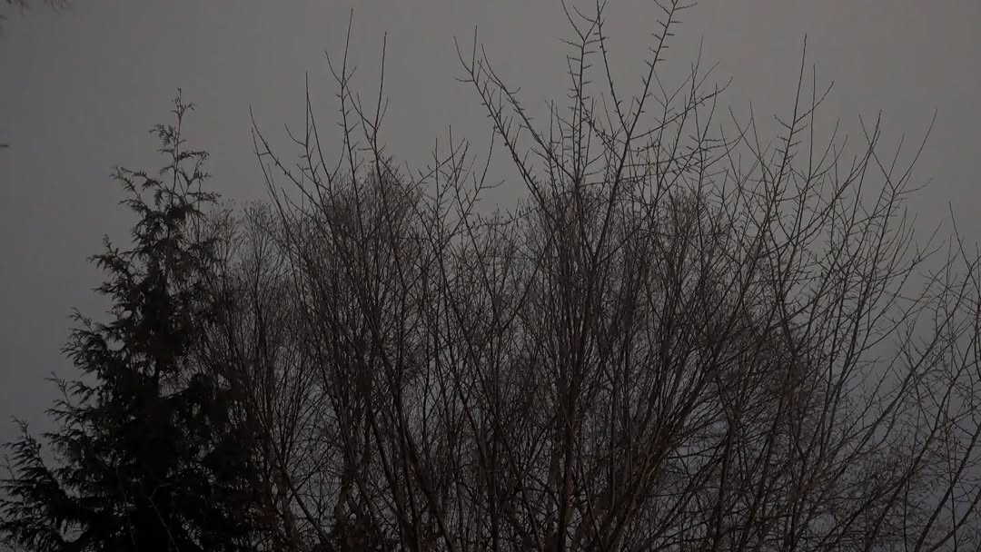January 22, 2024 | 17:32