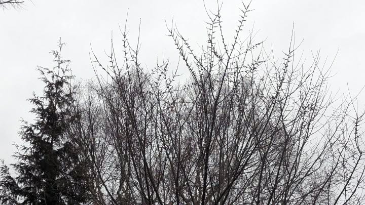 March 07, 2024 | 16:34