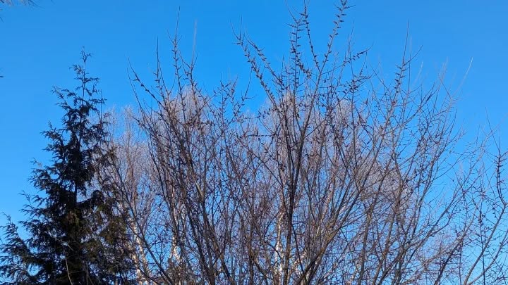 March 08, 2024 | 15:50