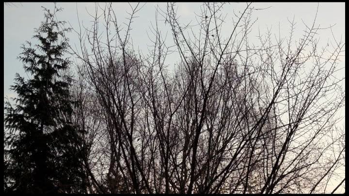 November 01, 2024 | 06:23