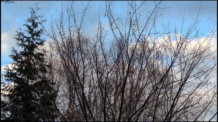 November 02, 2024 | 16:53