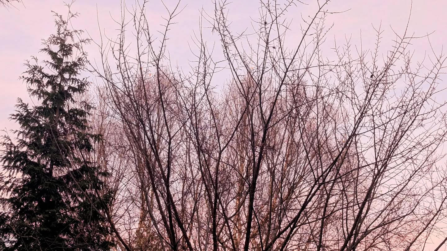 November 05, 2024 | 16:42