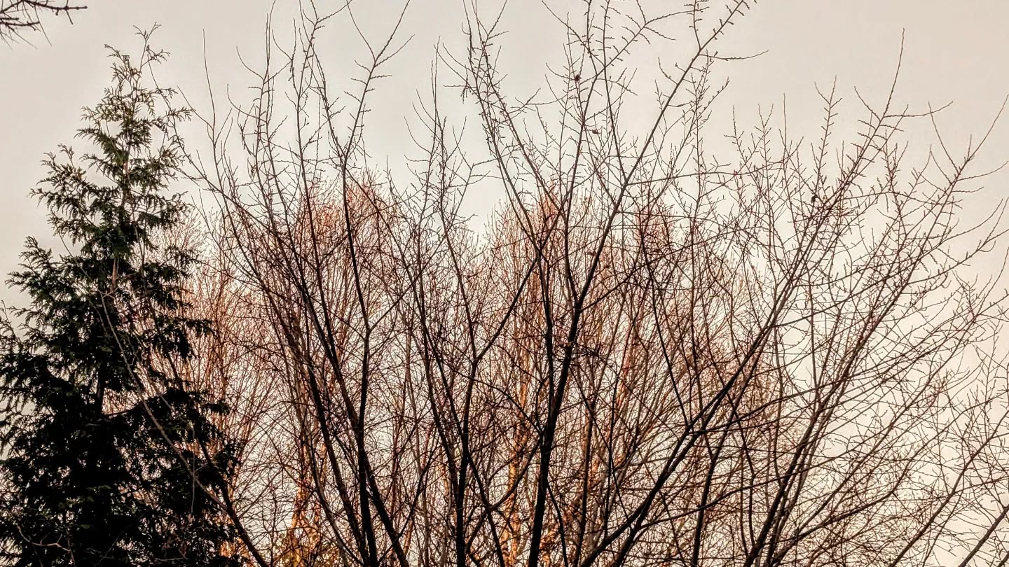 November 07, 2024 | 16:49