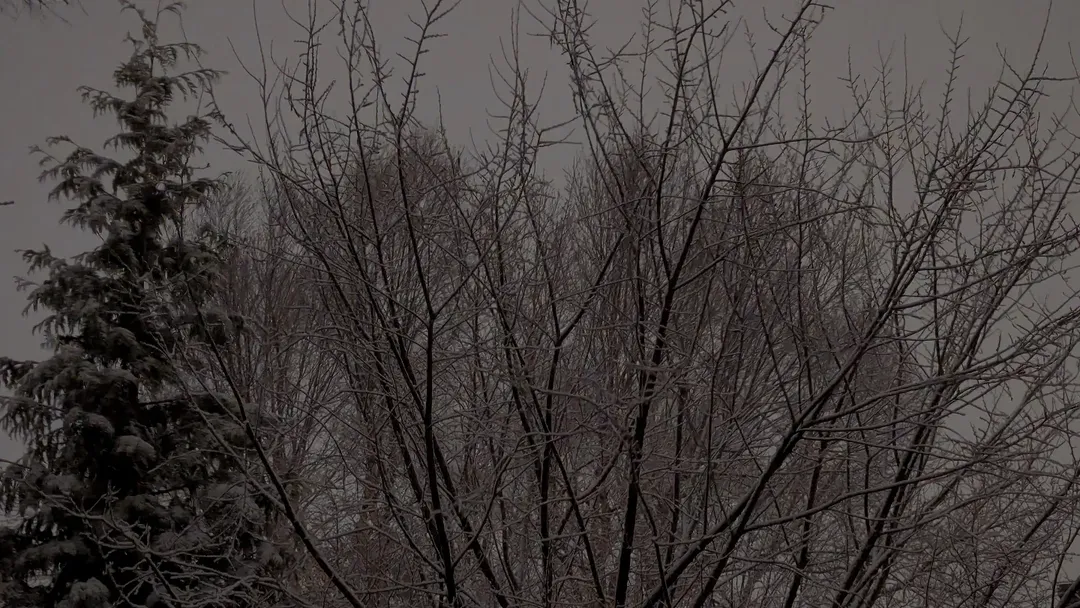 January 20, 2025 | 21:06